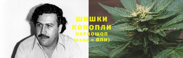 дурь Инсар