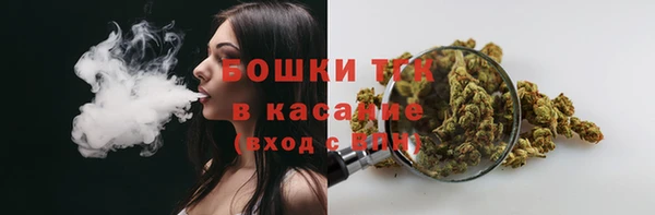 твердый Иннополис