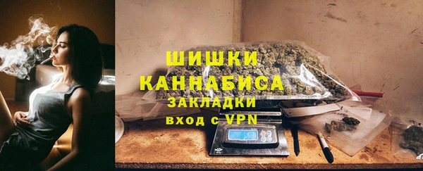 дурь Инсар