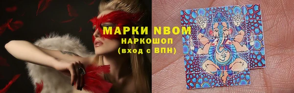 твердый Иннополис