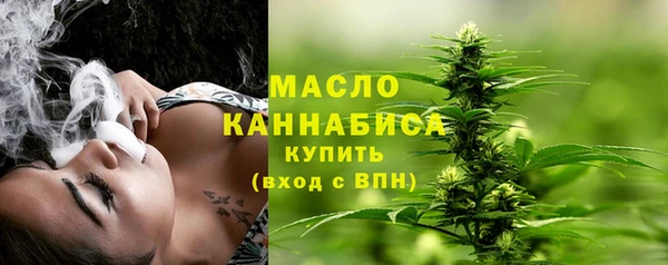 ECSTASY Каменка