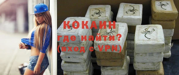 дурь Инсар
