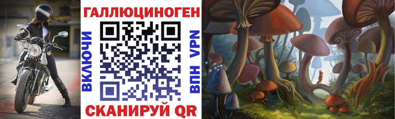 Псилоцибиновые грибы MAGIC MUSHROOMS где можно купить наркотик Дербент
