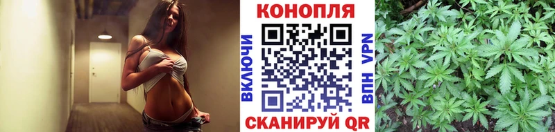 Каннабис ГИДРОПОН  купить  сайты  Дербент 